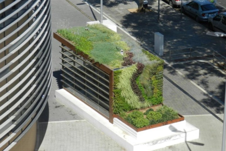 Reduction of the Effects of Climate Change by Green Roofs